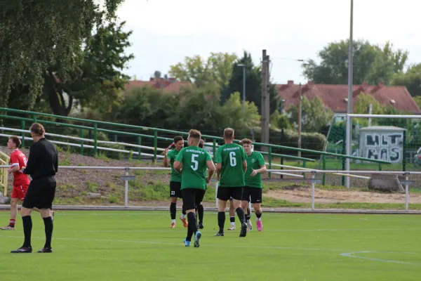 SV Merseburg 99 : 	SG Spergau