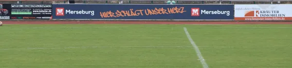 SV Mersdeburg 99 | - Blau-Weiß Farnstädt II