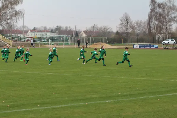 SV Mersdeburg 99 | - Blau-Weiß Farnstädt II