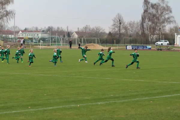 SV Mersdeburg 99 | - Blau-Weiß Farnstädt II