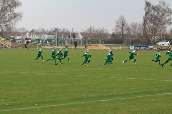 SV Mersdeburg 99 | - Blau-Weiß Farnstädt II