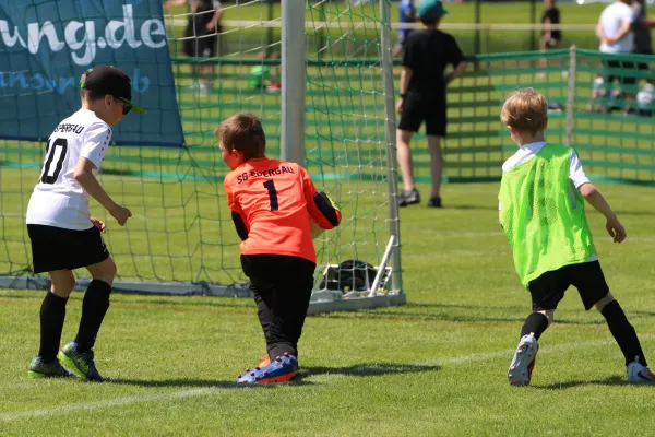 30. RabenCup E.-Jugend