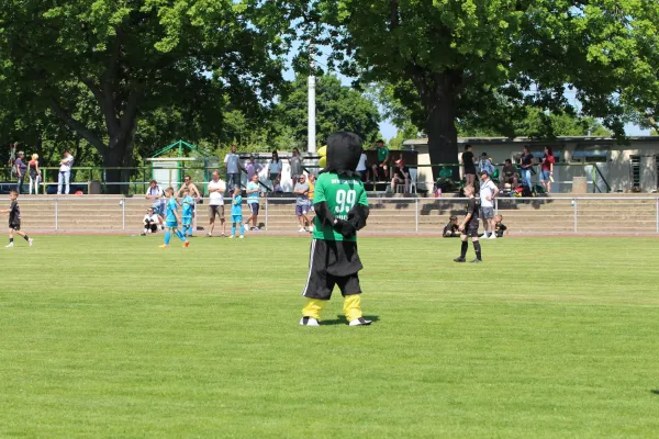 30. RabenCup E.-Jugend