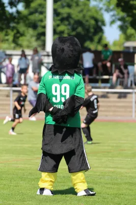 30. RabenCup E.-Jugend