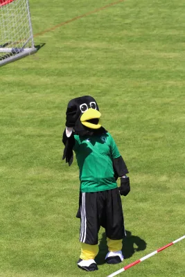 30. RabenCup E.-Jugend