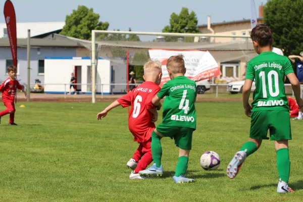 30. RabenCup Bambini
