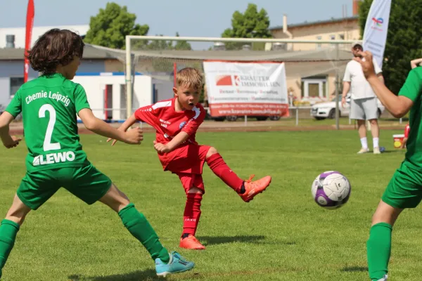 30. RabenCup Bambini