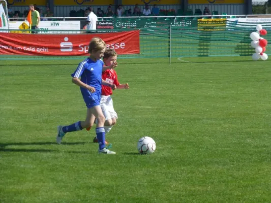 Rabencup 2014, F-Jugend