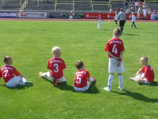 Rabencup 2014, F-Jugend