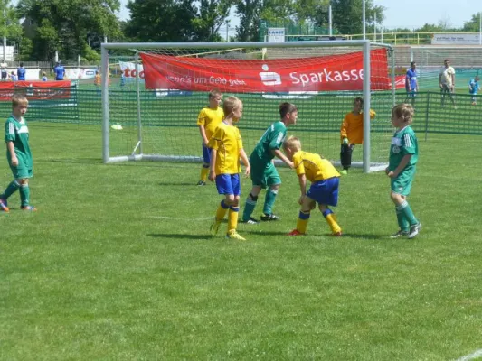 Rabencup 2014, F-Jugend