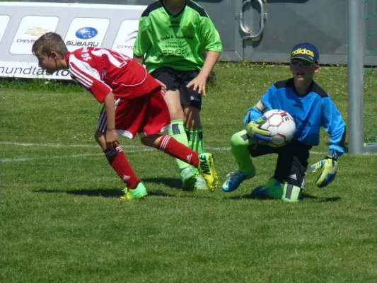 Rabencup 2014, E-Jugend