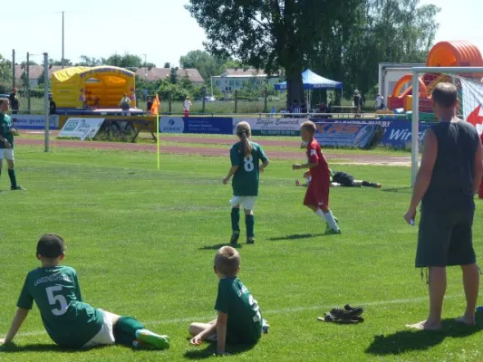 Rabencup 2014, E-Jugend