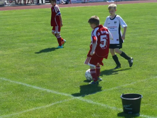 Rabencup 2014, E-Jugend