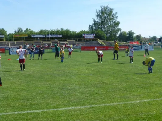 Rabencup 2014, E-Jugend