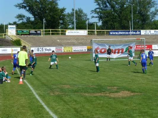 Rabencup 2014, E-Jugend