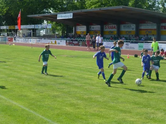 Rabencup 2014, E-Jugend