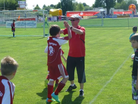 Rabencup 2014, E-Jugend