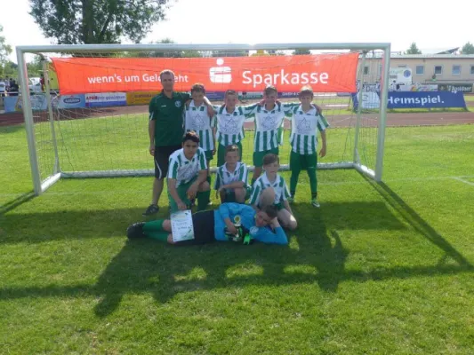 Rabencup 2014, D-Jugend