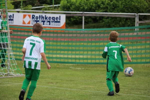 26. Rabencup 2022 - F-Jugend