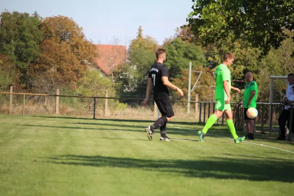 SV Merseburg 99 - TSV 78 Holleben