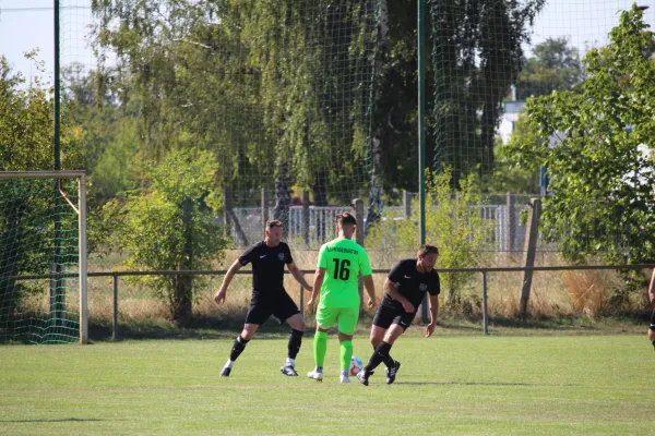 SV Merseburg 99 - TSV 78 Holleben