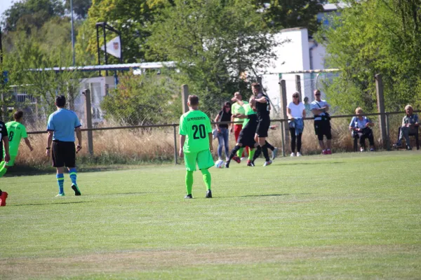 SV Merseburg 99 - TSV 78 Holleben