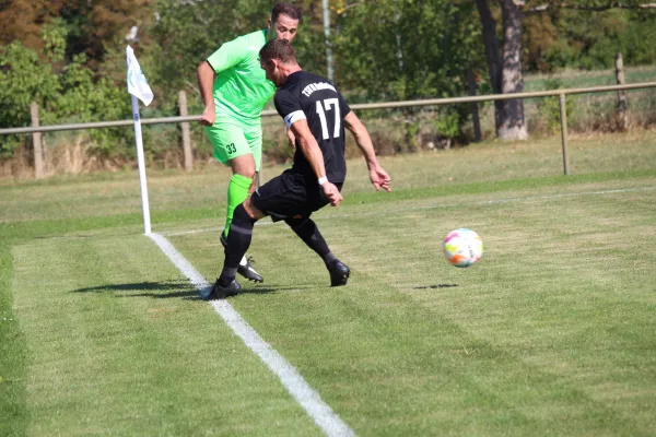 SV Merseburg 99 - TSV 78 Holleben