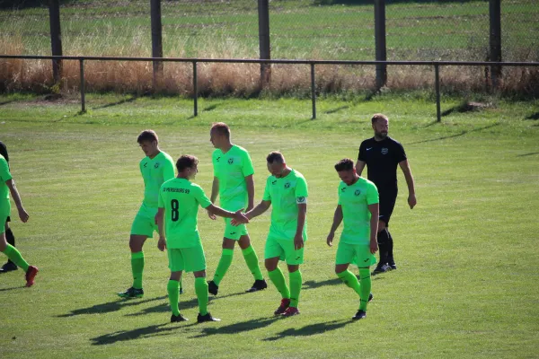 SV Merseburg 99 - TSV 78 Holleben