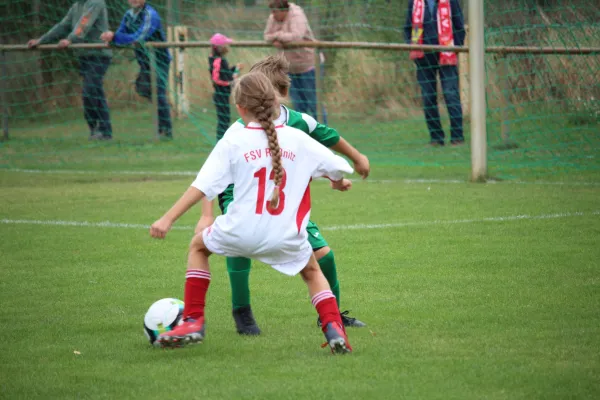 SV Merseburg 99 - FSV Raßnitz