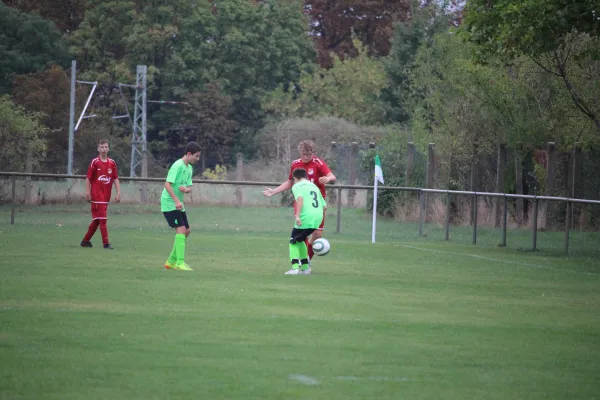 SV Merseburg 99 - JSG Elsteraue