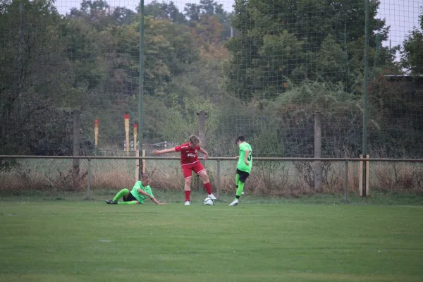 SV Merseburg 99 - JSG Elsteraue