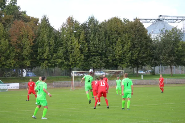 VFL Querfurt - SV Merseburg 99