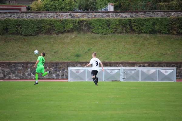 TSV Leuna 1919 II - SV Merseburg 99