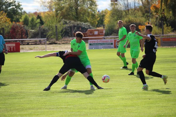 SV Merseburg 99 - VFL Querfurt