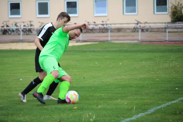 SV Merseburg 99 - VFL Querfurt