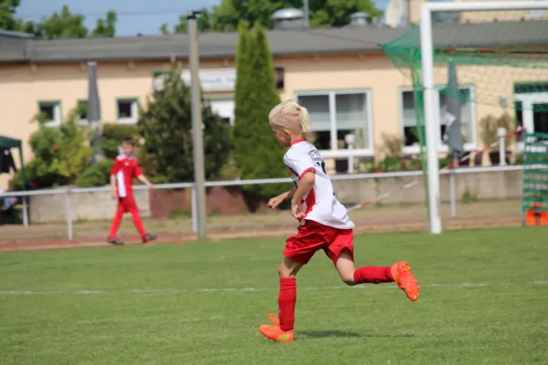 27. Rabencup 2023 - F-Jugend