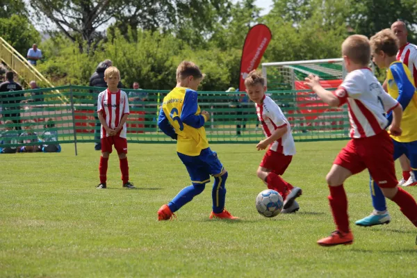 27. Rabencup 2023 - F-Jugend