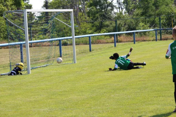 SV Merseburg 99 - Geiseltal