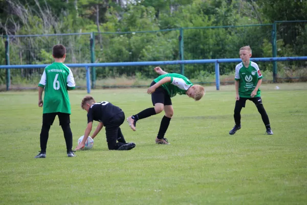 SV Merseburg 99 - Geiseltal