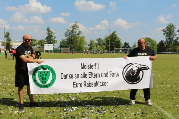 SV Merseburg 99 - Geiseltal