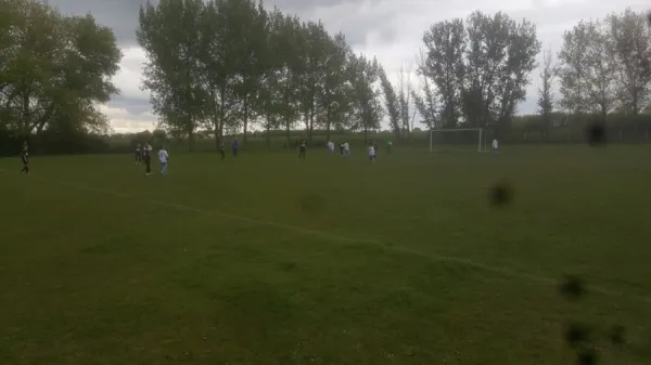 02.05.2017 TSV Leuna 1919 vs. SV Merseburg 99