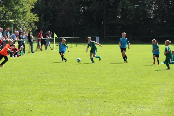 20.08.2017 Hohenweiden vs. SV Merseburg 99