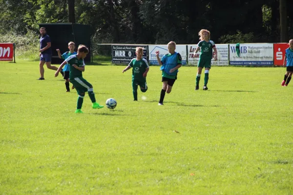 20.08.2017 Hohenweiden vs. SV Merseburg 99