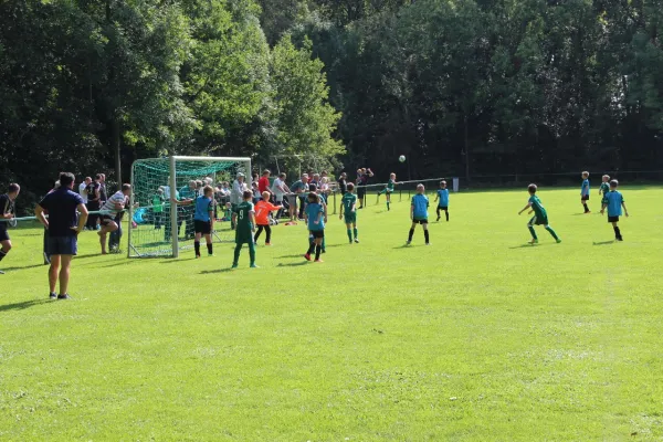 20.08.2017 Hohenweiden vs. SV Merseburg 99