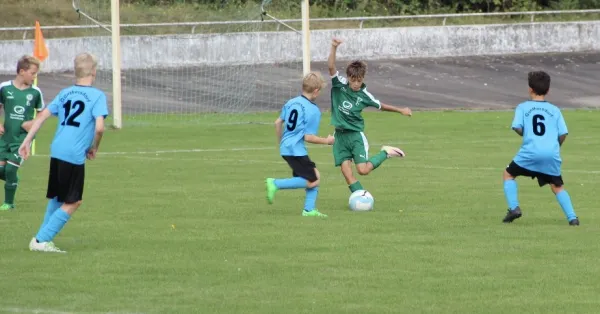 27.08.2017 SV Merseburg 99 vs. Bl.-W. Günthersdorf