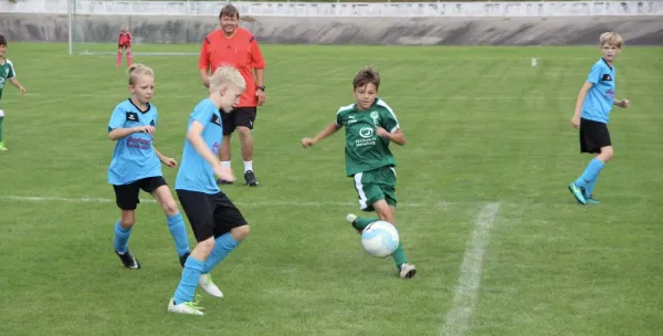 27.08.2017 SV Merseburg 99 vs. Bl.-W. Günthersdorf