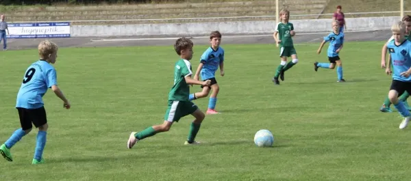 27.08.2017 SV Merseburg 99 vs. Bl.-W. Günthersdorf