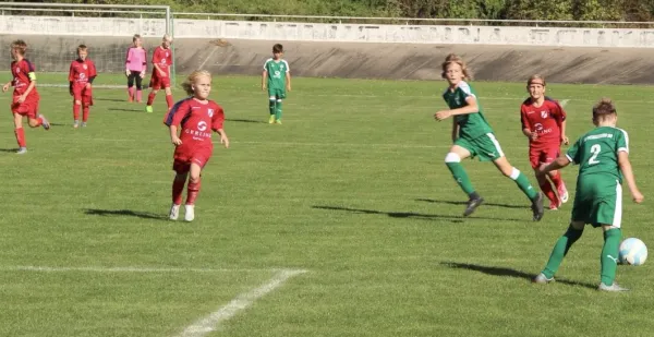 10.09.2017 SV Merseburg 99 vs. VFB IMO Merseburg