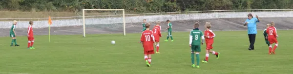 23.09.2017 SV Merseburg 99 vs. FSV Raßnitz