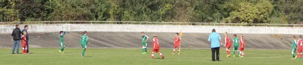 23.09.2017 SV Merseburg 99 vs. FSV Raßnitz